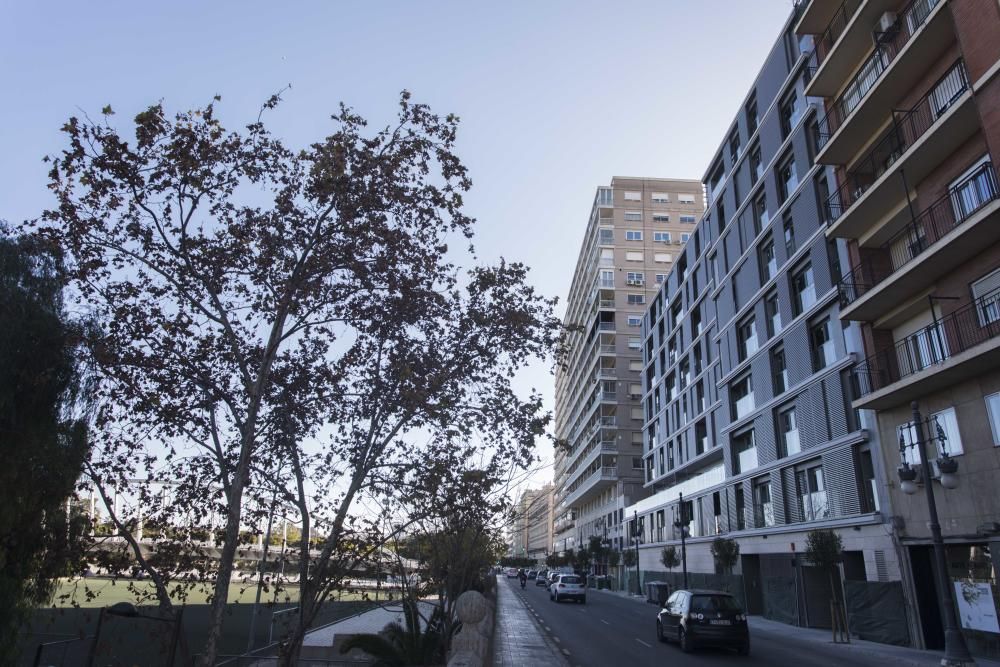 Promoción de pisos de lujo en la calle Cronista Carreres