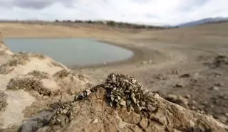 Málaga sufrirá un otoño sin lluvias en las zonas más necesitadas