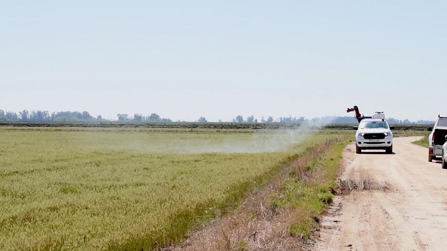 Arrancan las primeras fumigaciones contra el virus del Nilo en La Puebla del Río