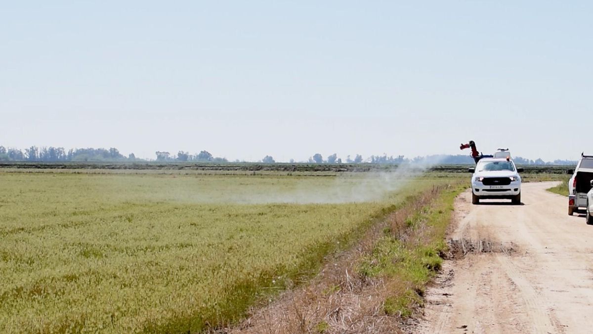 Un vehículo fumiga en La Puebla del Río