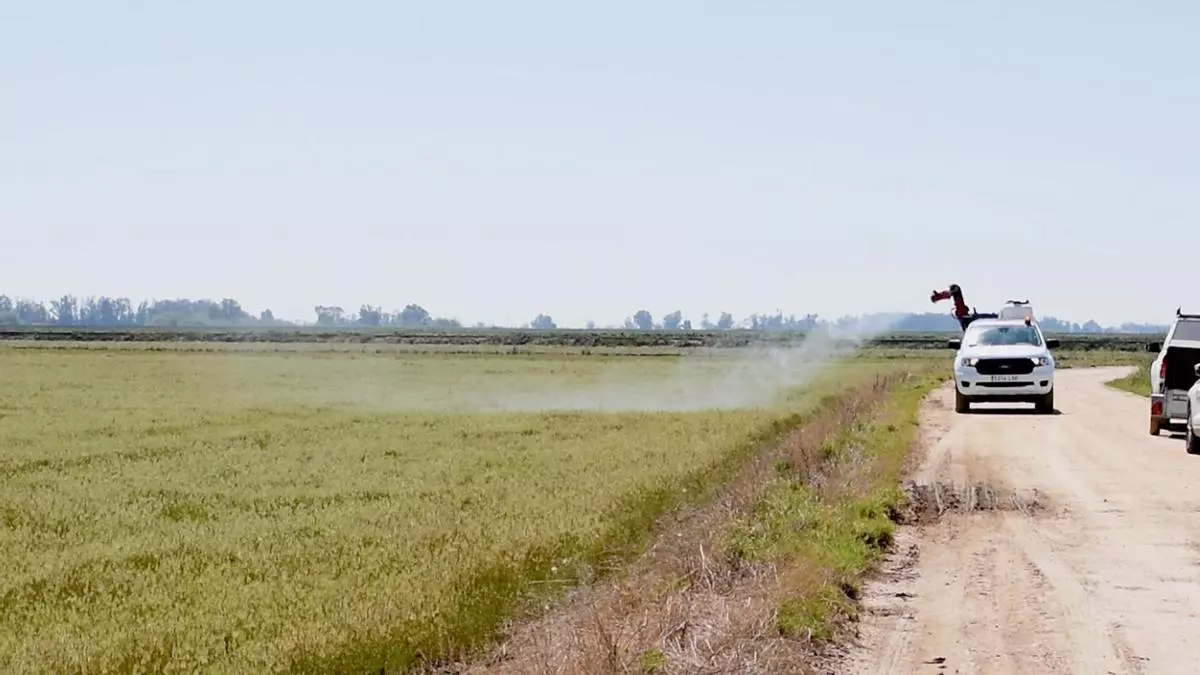 Arrancan las primeras fumigaciones contra el virus del Nilo en La Puebla del Río