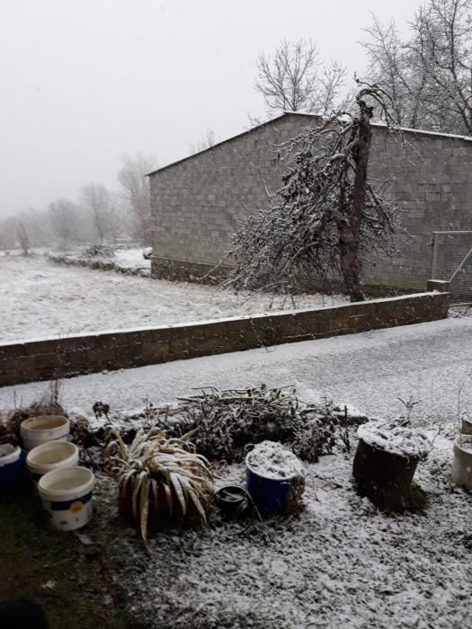 Nieve en Sanabria (enero 2019)