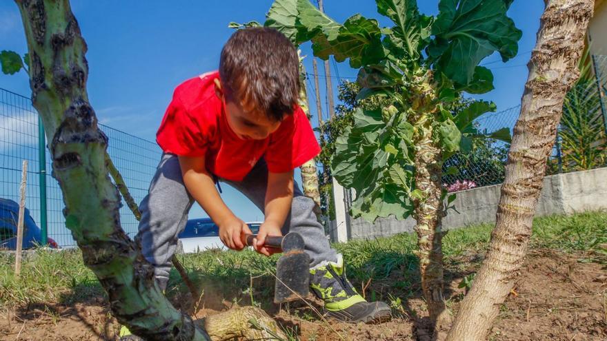 Un niño, trabajando en la huerta del CRA de Meis.   | // IÑAKI ABELLA