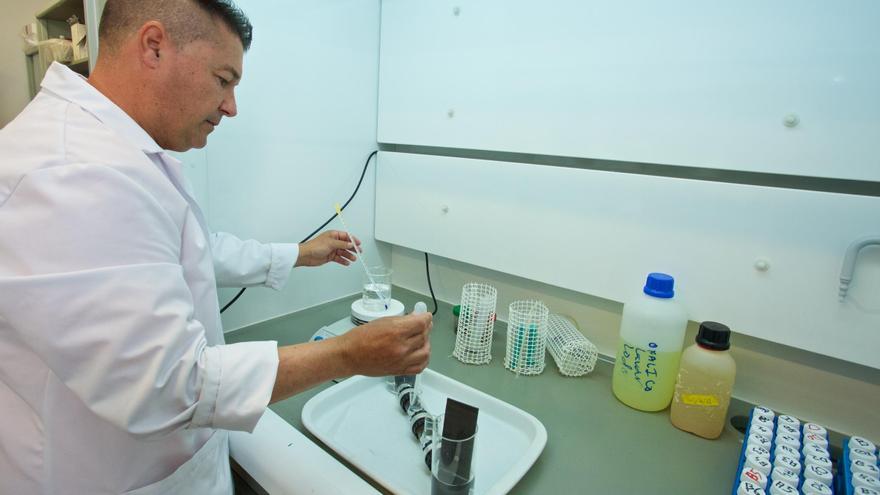 Un dispositivo de la Universidad de Alicante permitirá a la hostelería desalar alimentos con electrodiálisis