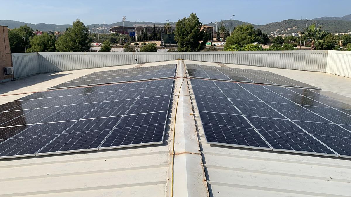 Un conjunto de placas fotovoltaicas instaladas en Son Valentí.