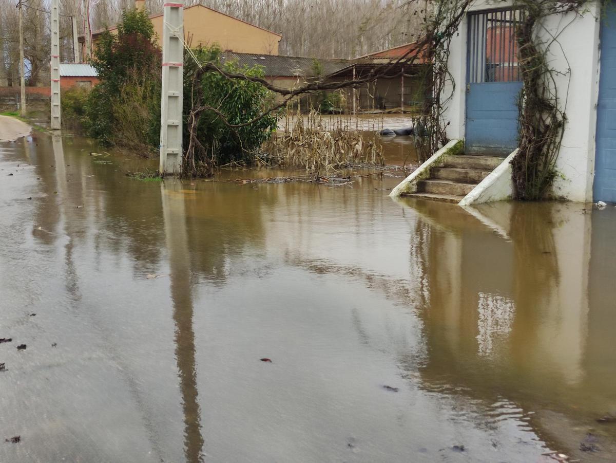 La zona de las huertas completamente anegada.