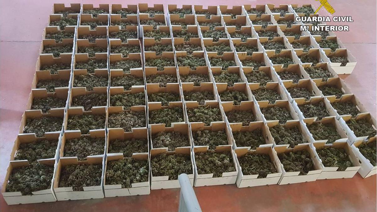 Boxes with buds seized in the San Vicente warehouse. Boxes with buds seized in the San Vicente warehouse.