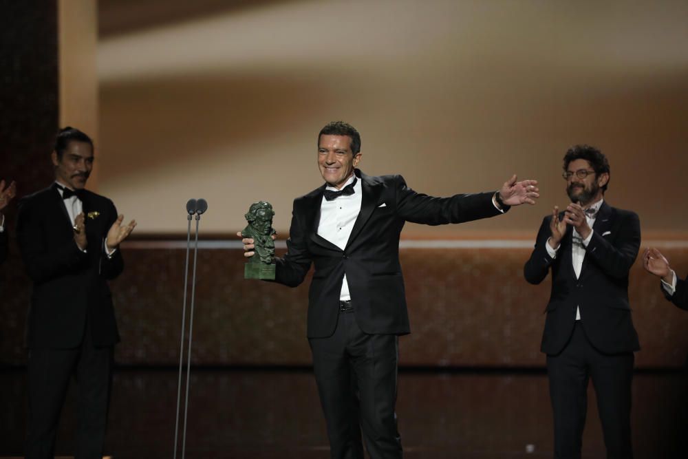 Antonio Banderas, Goya a Mejor Actor por 'Dolor y Gloria'.