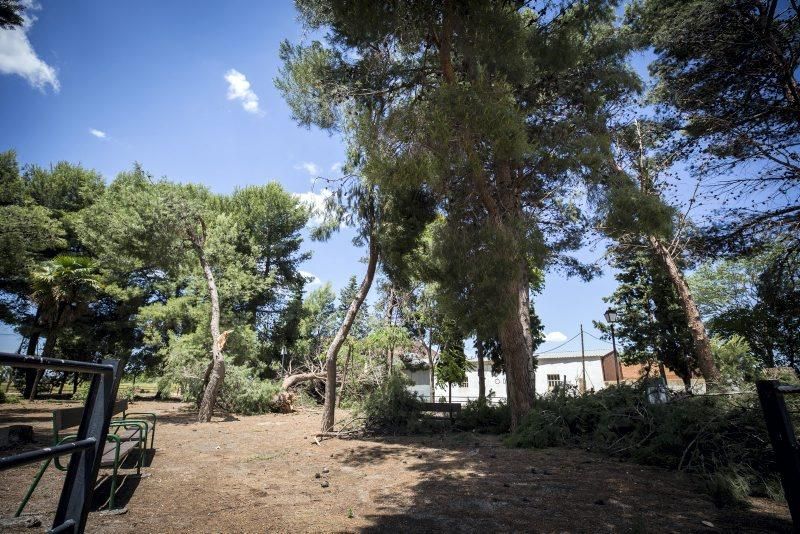 Efectos de la tormenta en Longares