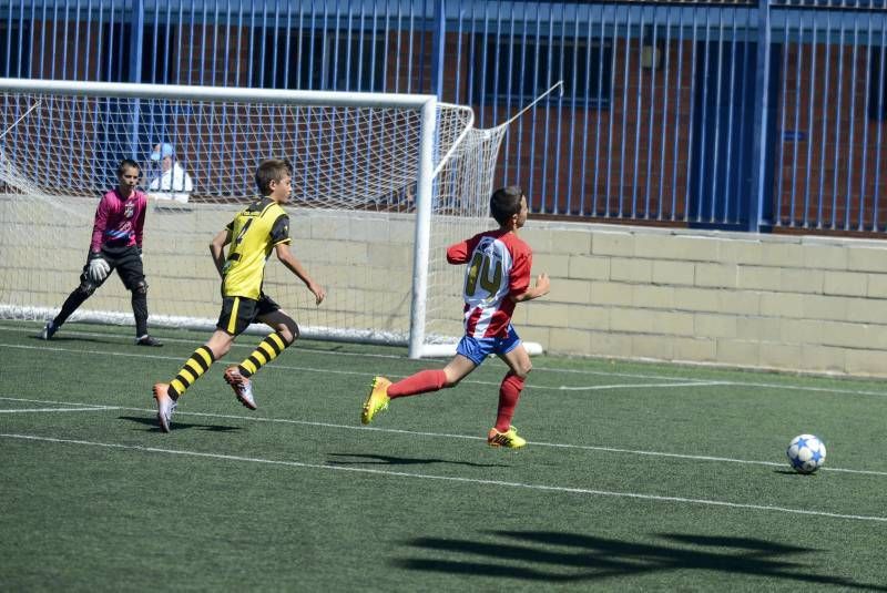 FÚTBOL: Tauste A - Teruel A (Alevín)