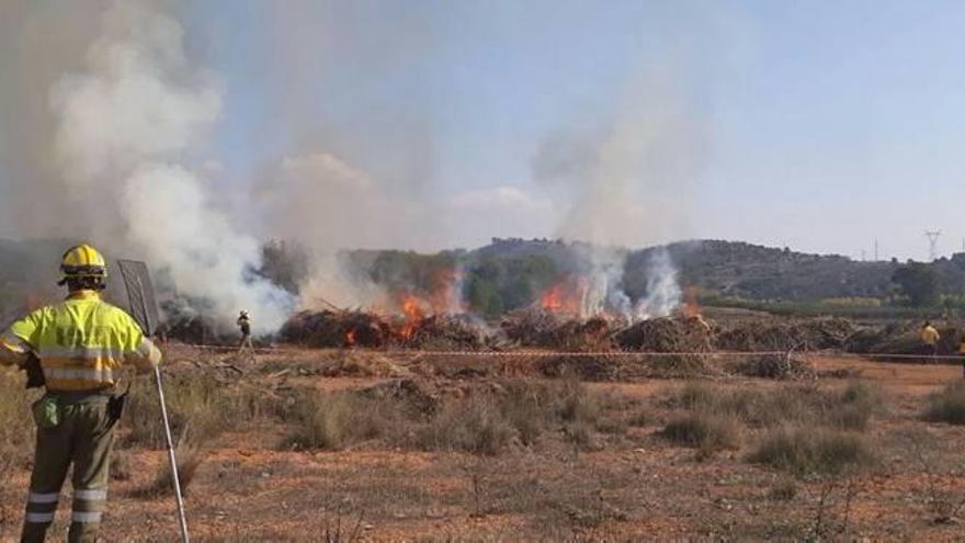 Quema controlada de restos ya secos extraídos del embalse de Bellús