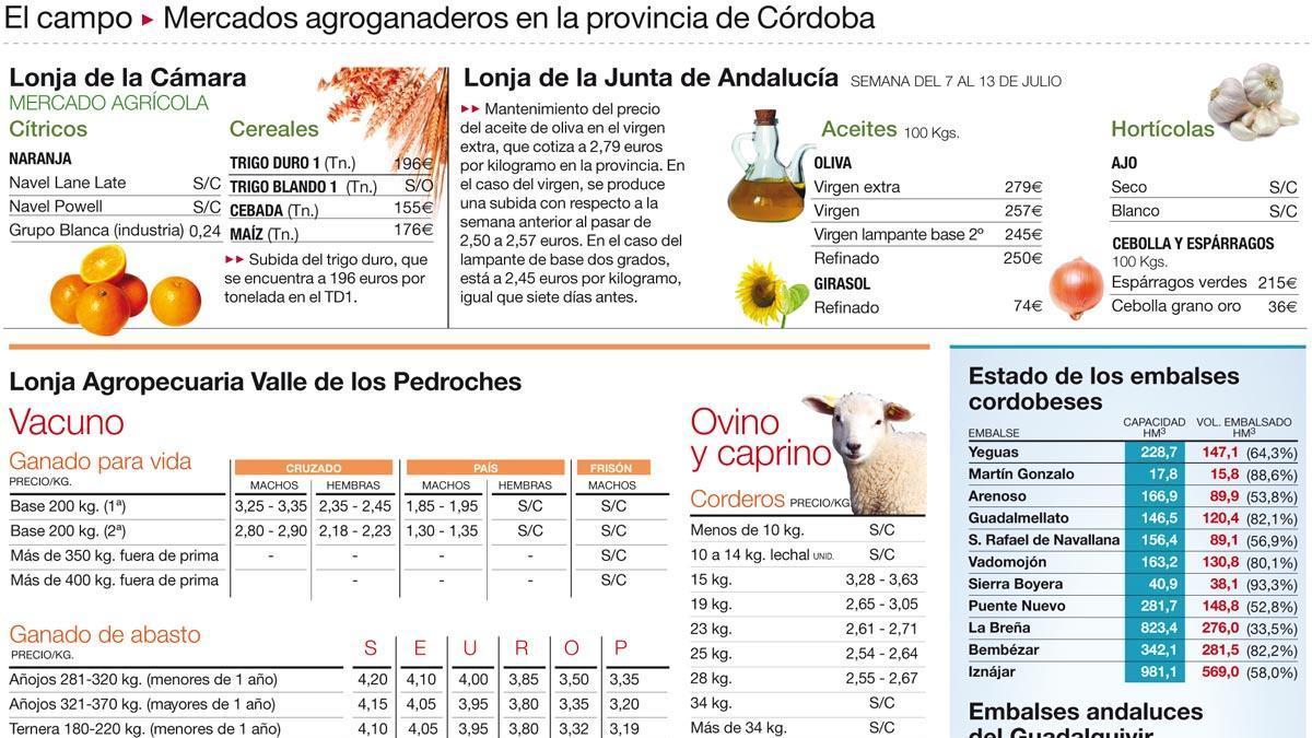 Iniciada la cosecha de los primeros melones y sandías