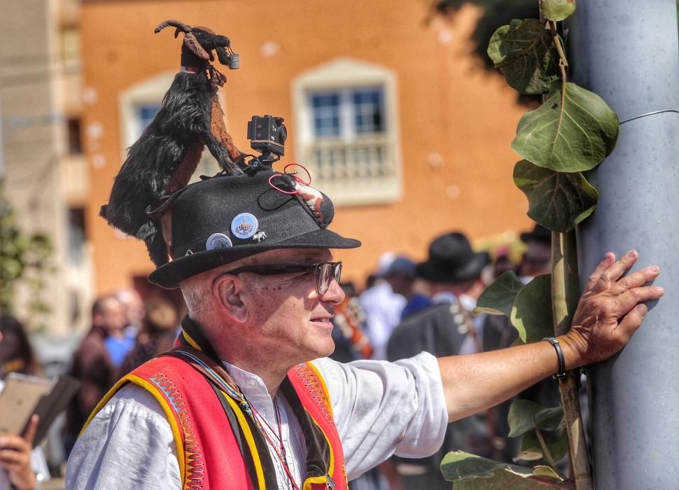 Romería y ofrenda a los patronos de Adeje