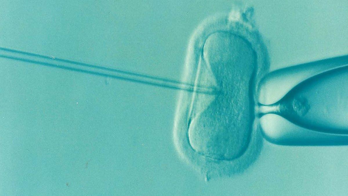 ¿sabes Qué Es La Anovulación Cuáles Son Sus Síntomas Y Su Tratamientoemk 5179