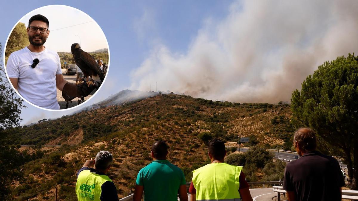 Desalojados por el incendio de Cerro Muriano, en Córdoba: "Nos avisó la Guardia Civil y salimos con cuatro cosas y nuestra águila"