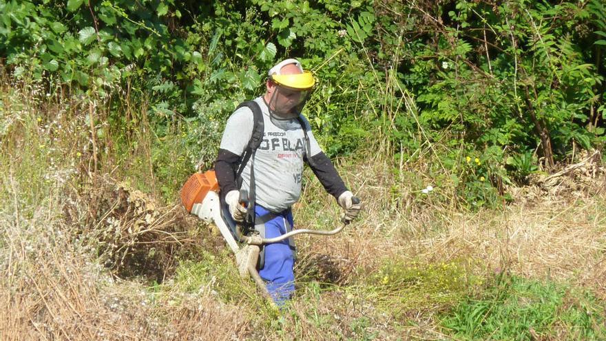 Un hombre desbroza una finca, en Ourense // Iñaki Osorio