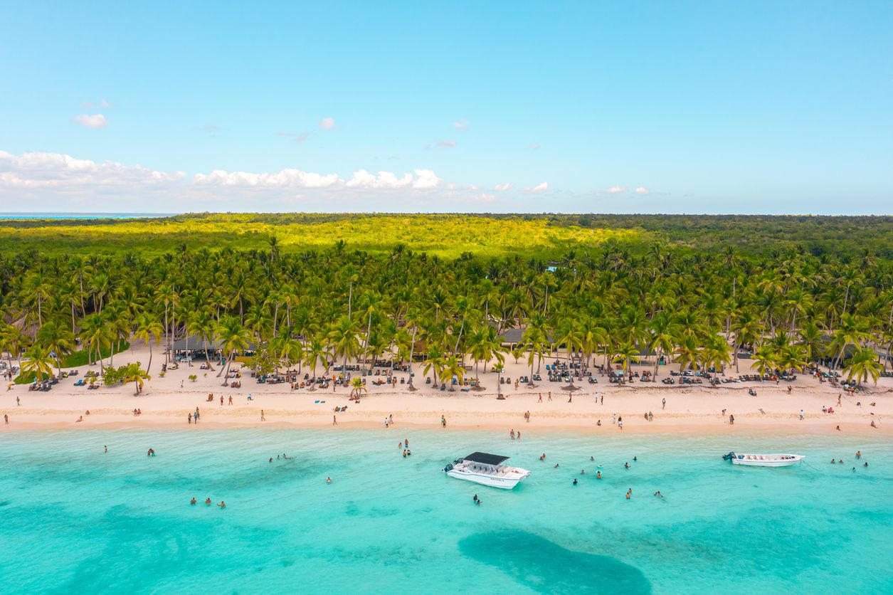 Hermosa isla Saona, República Dominicana en un día soleado con palmeras vistas desde el punto de vista de un dron