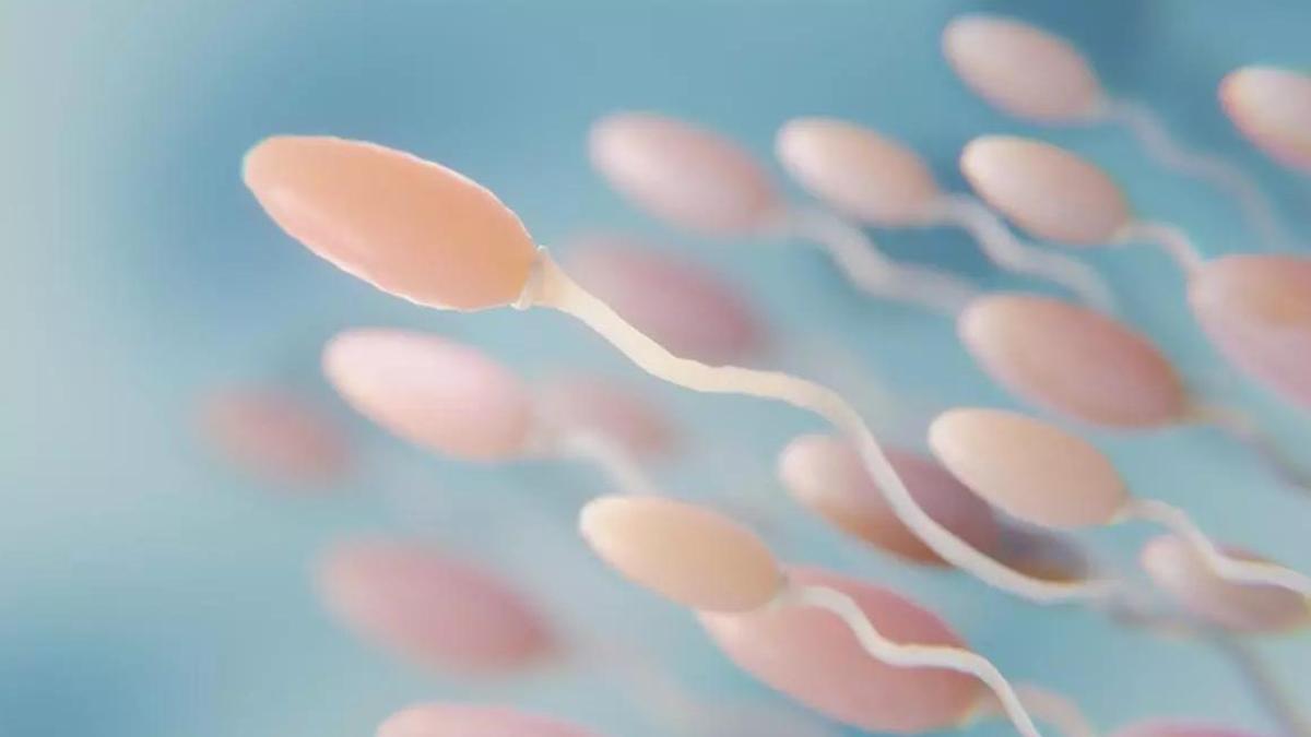 La alergia al semen existe y puede complicar a las mujeres quedarse embarazadas