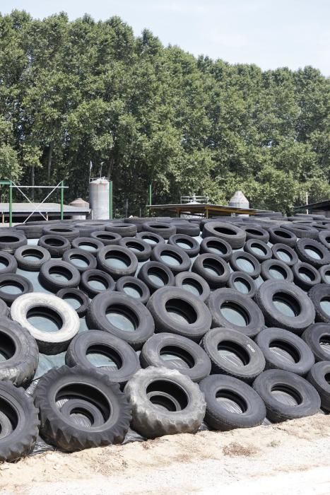 Abocador il·legal de pneumàtics a Bescanó