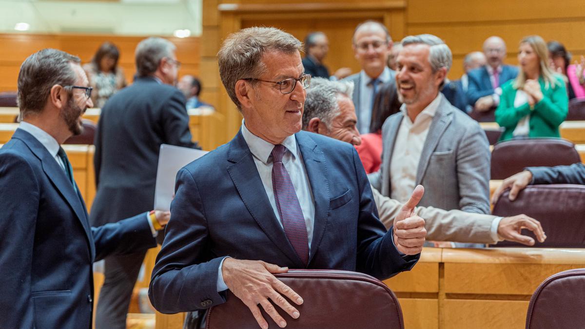 El presidente del PP, Alberto Núñez Feijóo, en el Senado.