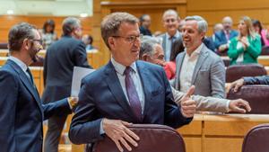 Archivo - El presidente del Partido Popular, Alberto Núñez Feijóo, durante una sesión plenaria en el Senado, a 16 de mayo de 2023, en Madrid (España). El jefe del Ejecutivo y el líder de PP protagonizan un nuevo debate parlamentario a escasos doce días de