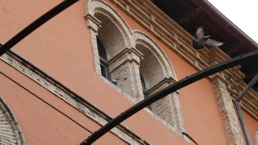Las palomas invaden el falso techo       de un edificio protegido de Alzira