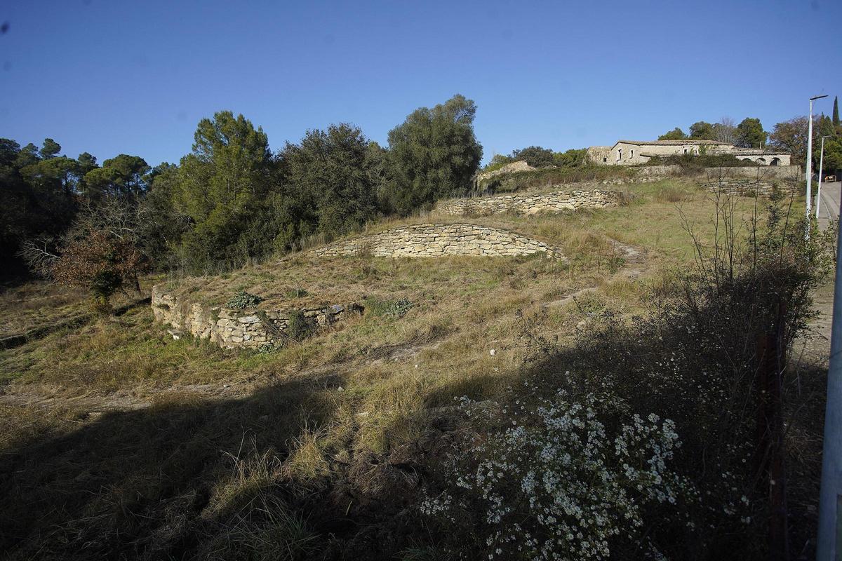 251217DDG_Marc Mart (228696772)