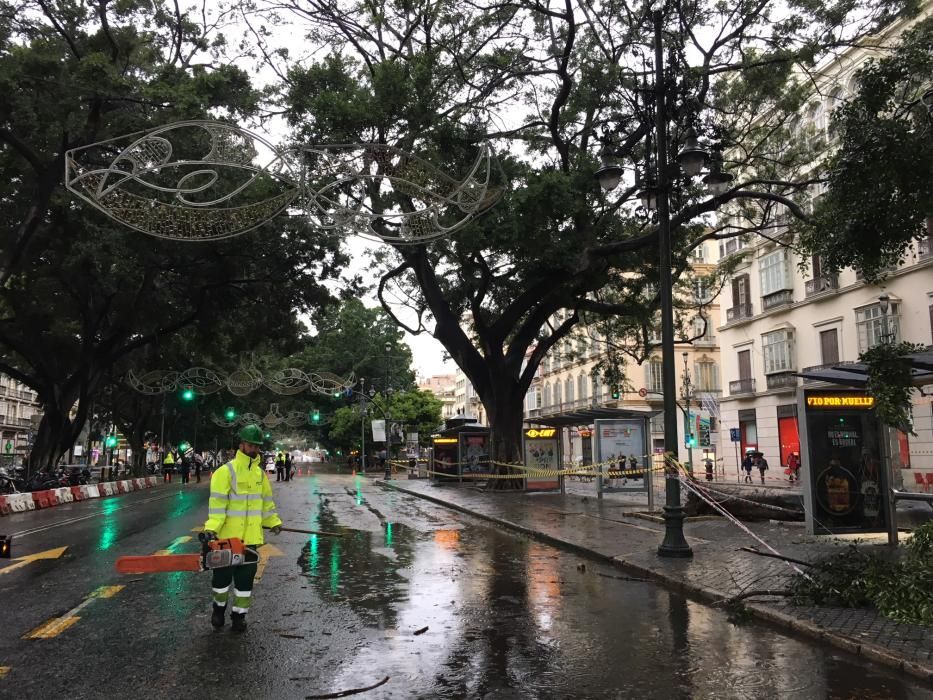 Las incidencias de la borrasca Ana en Málaga