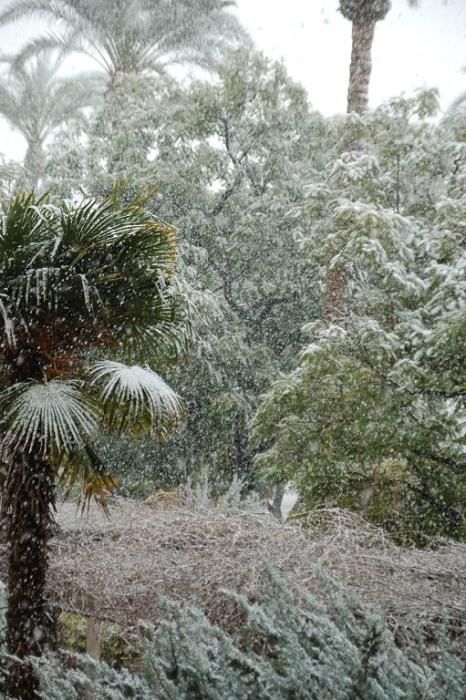 Nieve en Vistabella