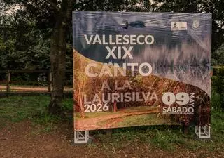 XIX edición del Canto a la Laurisilva