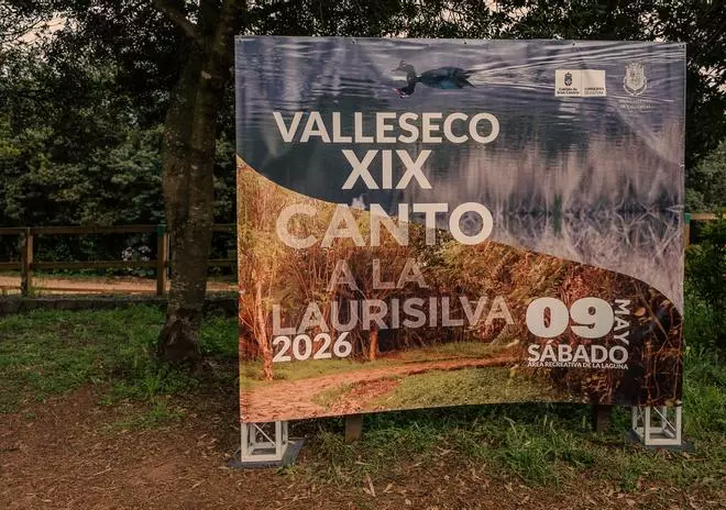 XIX edición del Canto a la Laurisilva