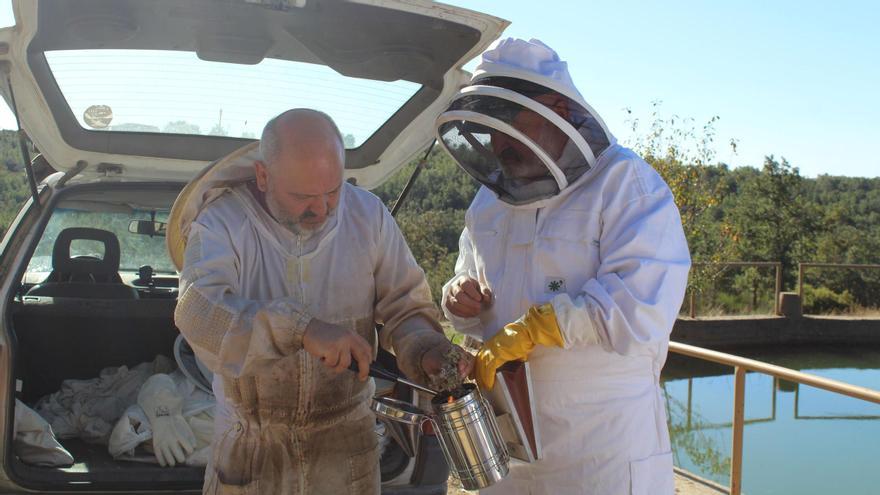 Así se ahuma una colmena de abejas para abrirla de forma segura y sin riesgos