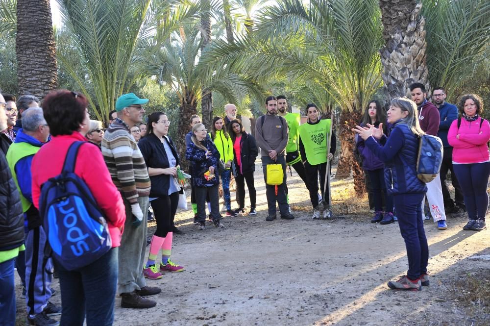 Limpieza de huertos para proteger el Palmeral