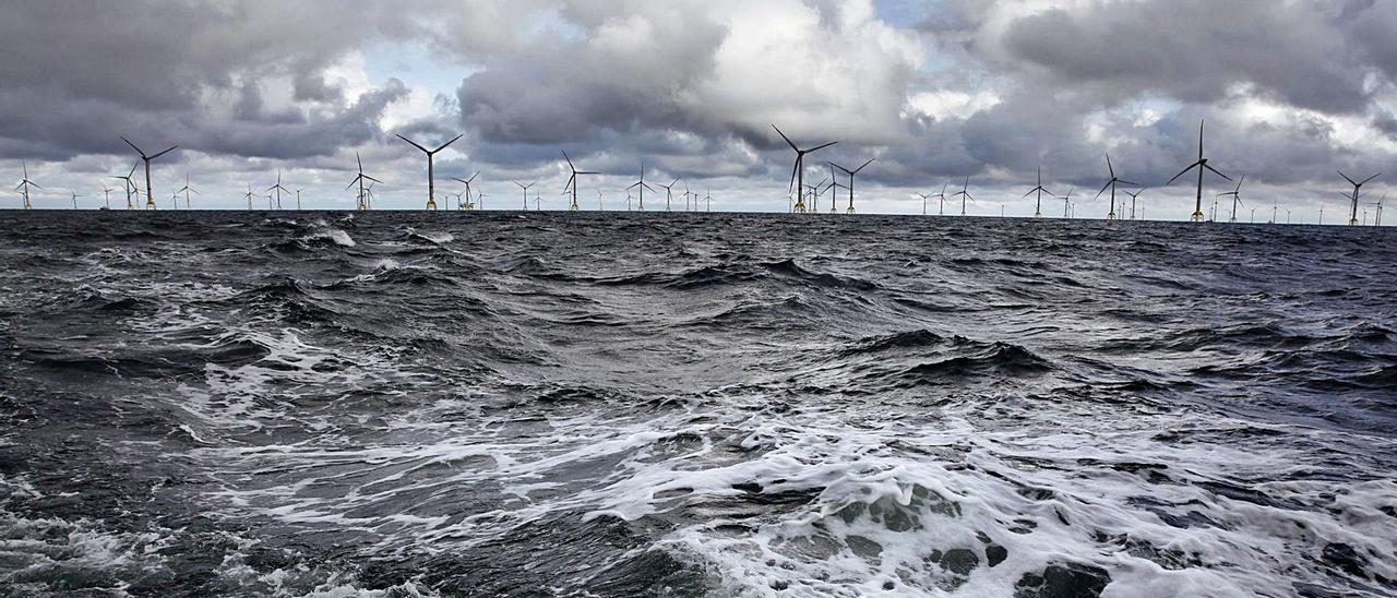 El parque Wikinger de 
Iberdrola en Alemania. |   
// FRANCIS TSANG