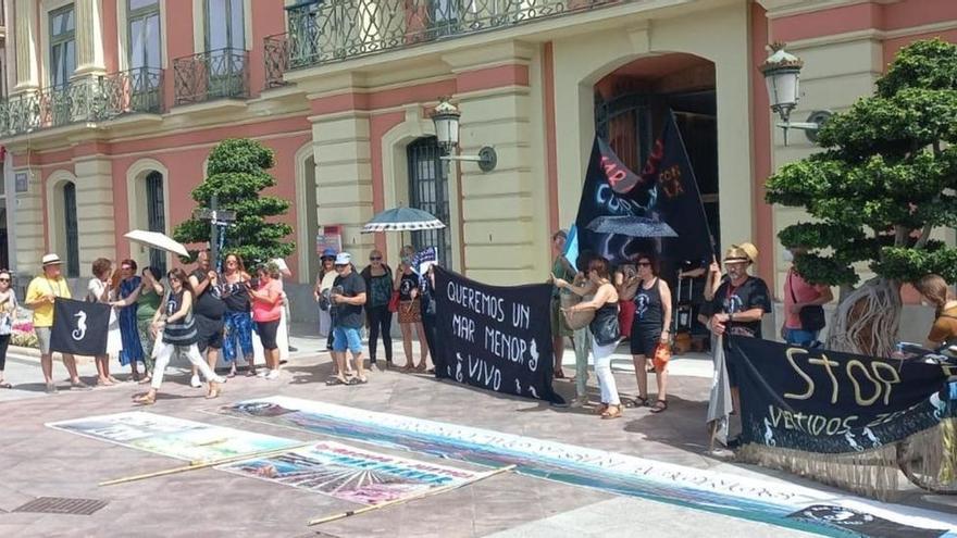 El Pleno aprueba conceder la Medalla de Oro a la plataforma de la ILP del Mar Menor