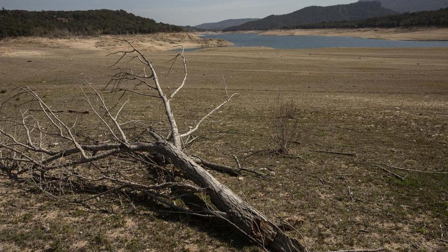 La Región, abocada a la sequía prolongada si no llueve en marzo