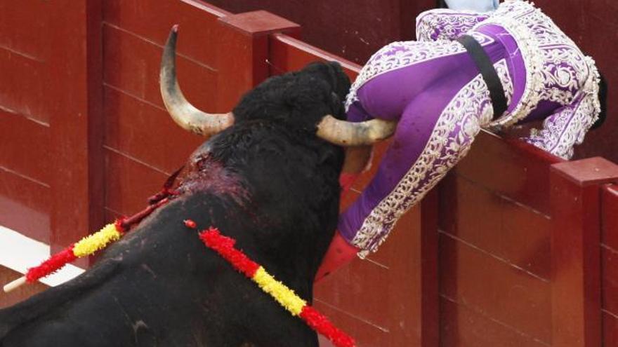 El banderillero Pedro Muriel sufrió una cogida sin gravedad.