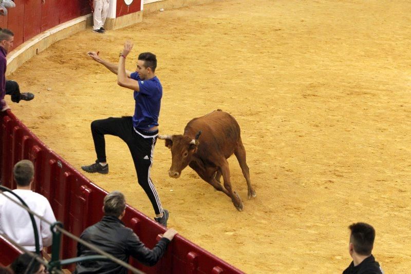 Vaquillas del 9 de octubre