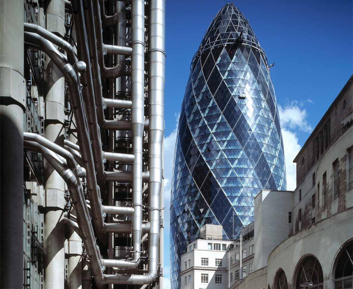 The gherkin