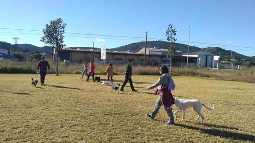 Una de las actividades realizadas por la asociación Túria Canina .