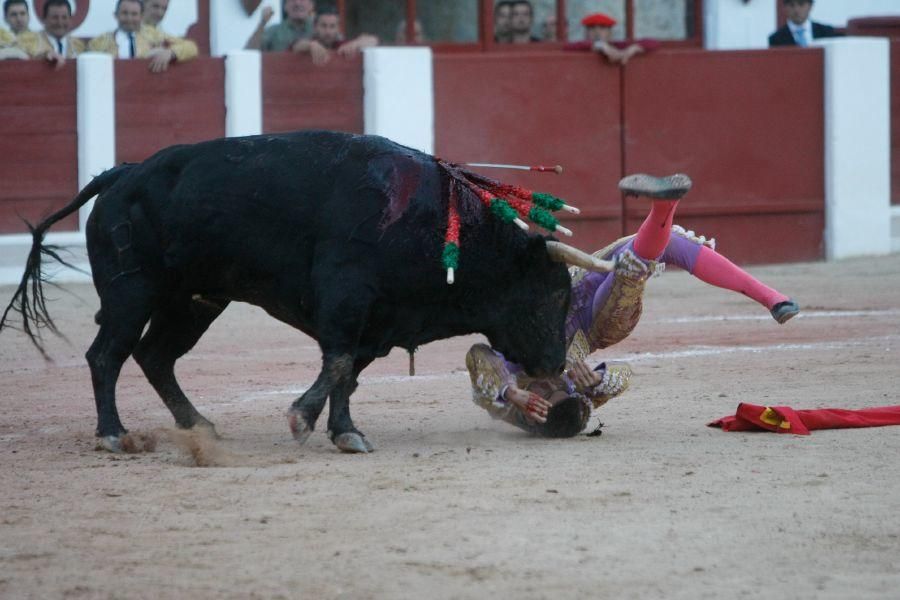 Toros en Zamora