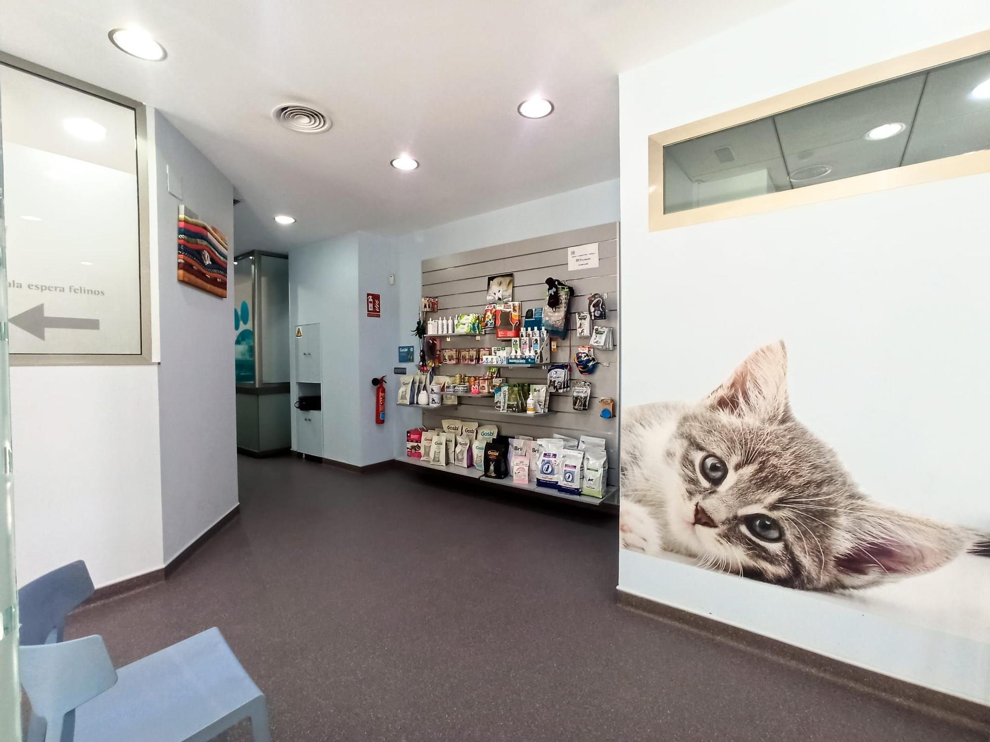 Clínica veterinaria San Juan: Expertos en cuidar de la salud y bienestar de  tus mascotas