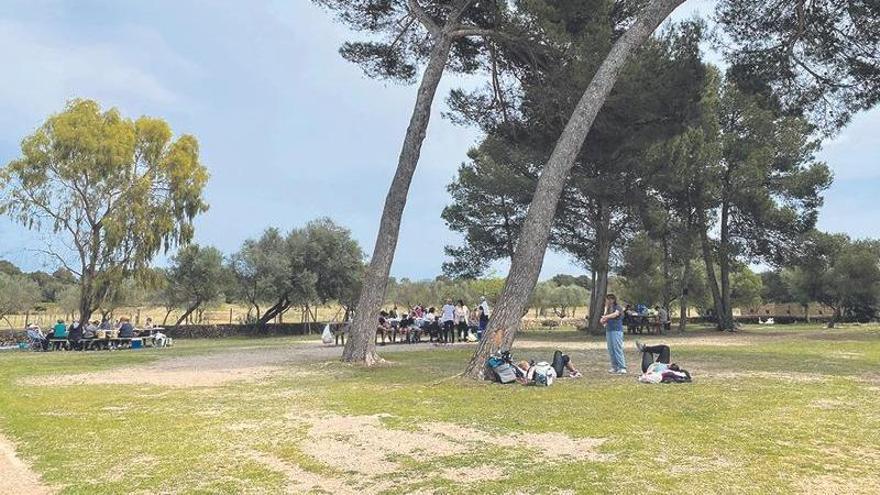 Picknickplatz auf der Finca Son Real