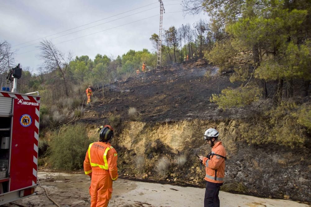 Incendio forestal en la zona el Pi d'Ambrosio de l'Ènova