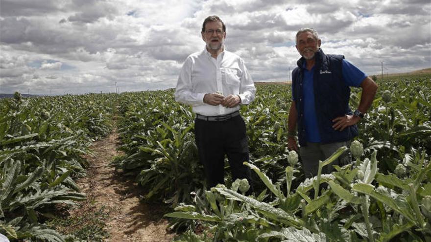 Rajoy en un campo de alcachofas: "Realmente me emociona"