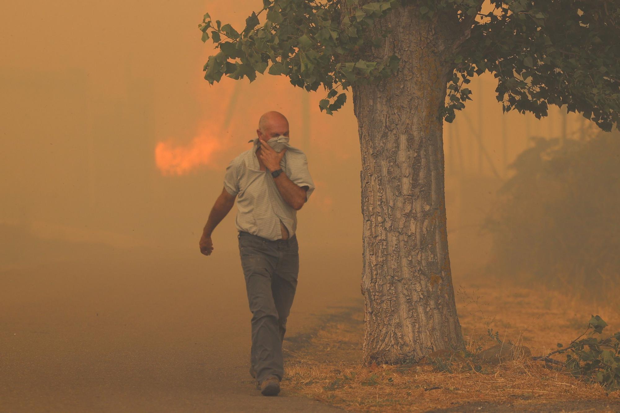 EN IMÁGENES | El incendio forestal de Añón de Moncayo