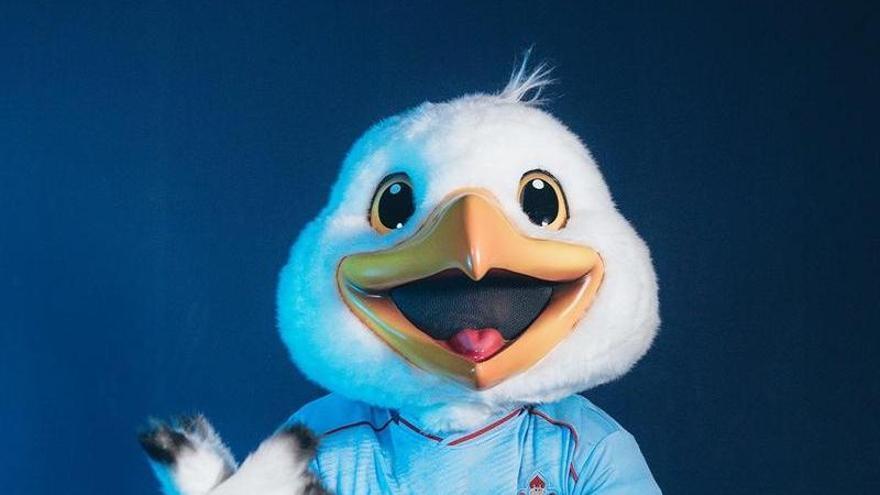 El Celta anuncia a 'Chiño', una gaviota, como su nueva mascota oficial para reforzar el vínculo con la afición