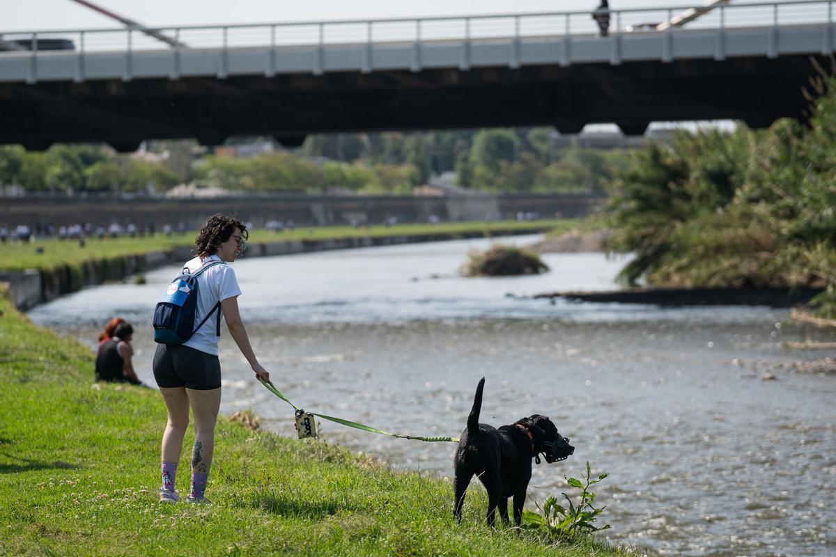 Parc Fluvial del Besòs