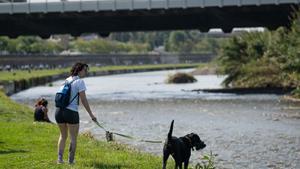 Parc Fluvial del Besòs