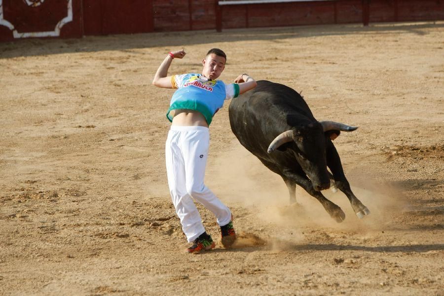 Fiestas en Zamora: Recortes en Villalpando